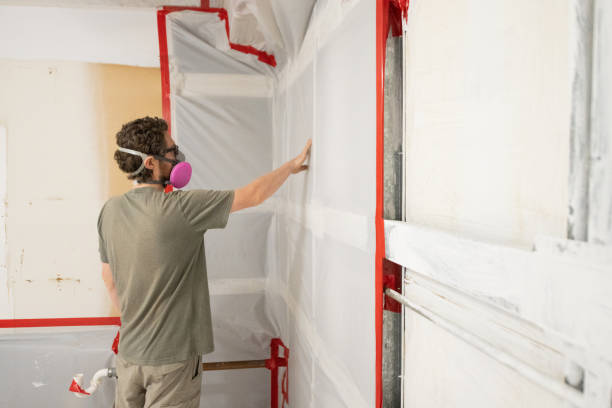 Best Airborne Mold Testing  in Helena, MT