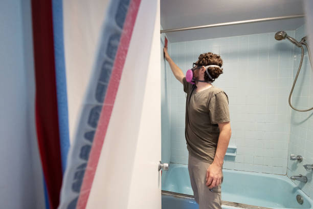 Mold Documentation for Insurance Claims in Helena, MT