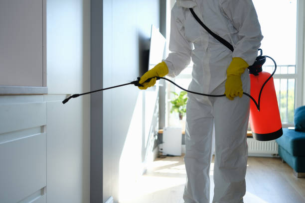 Biohazard Mold Removal in Helena, MT