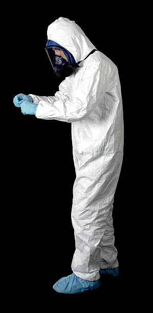 Best Attic Mold Removal  in Helena, MT