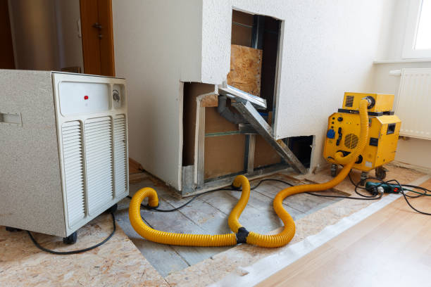 Environmental Consulting for Mold Prevention in Helena, MT